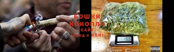 сатива Заводоуковск
