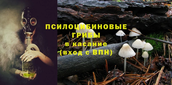 амф Заволжье