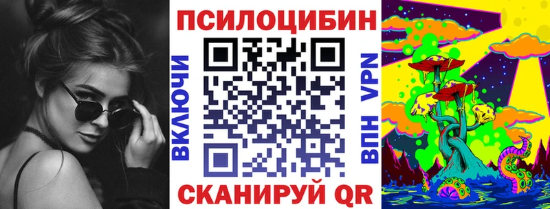 Псилоцибиновые грибы Psilocybine cubensis Севск
